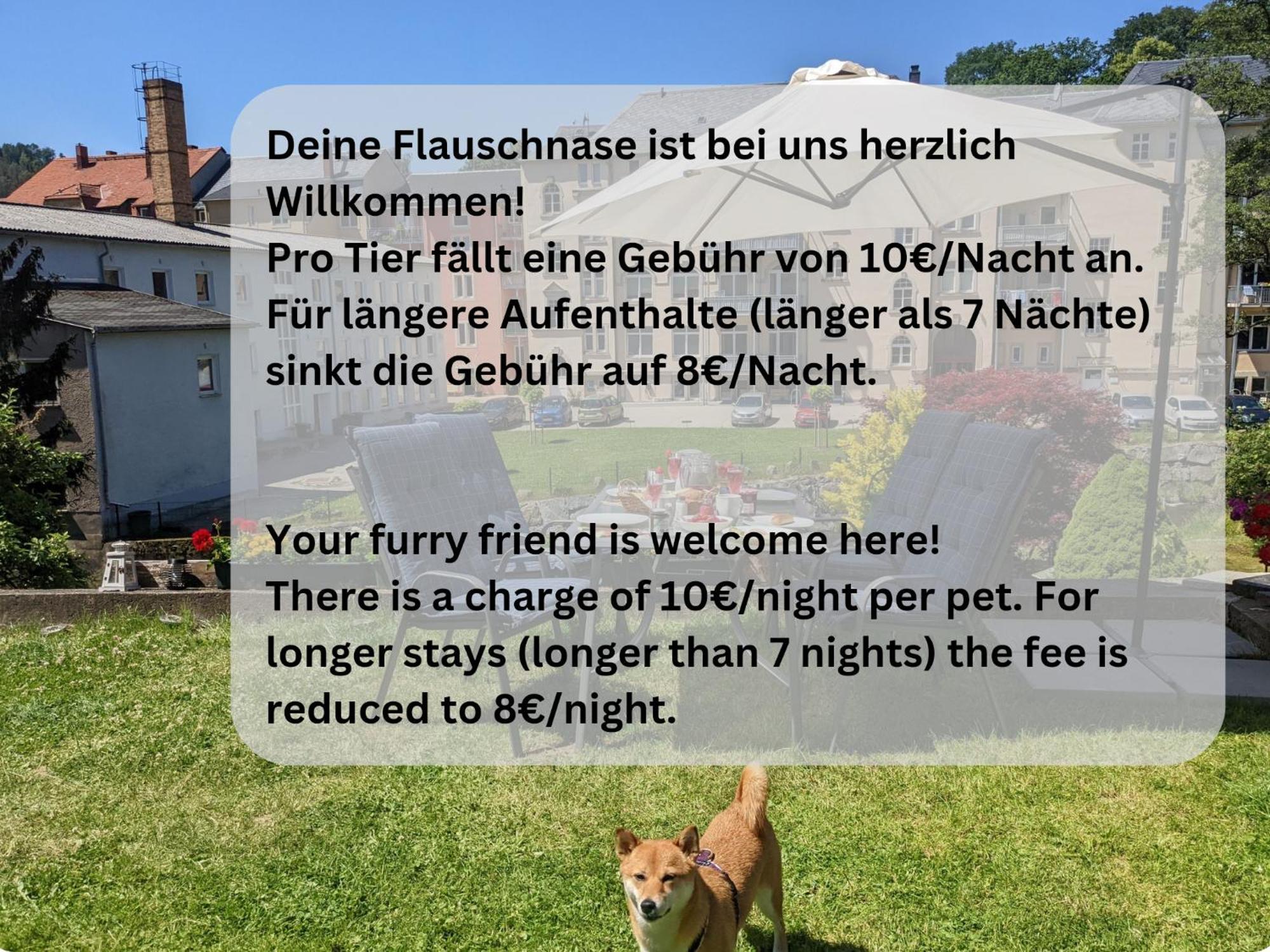 Hw1 - Urlaubsmagie - Sauna&Whirlpool Zum Entspannen Sebnitz Exterior photo